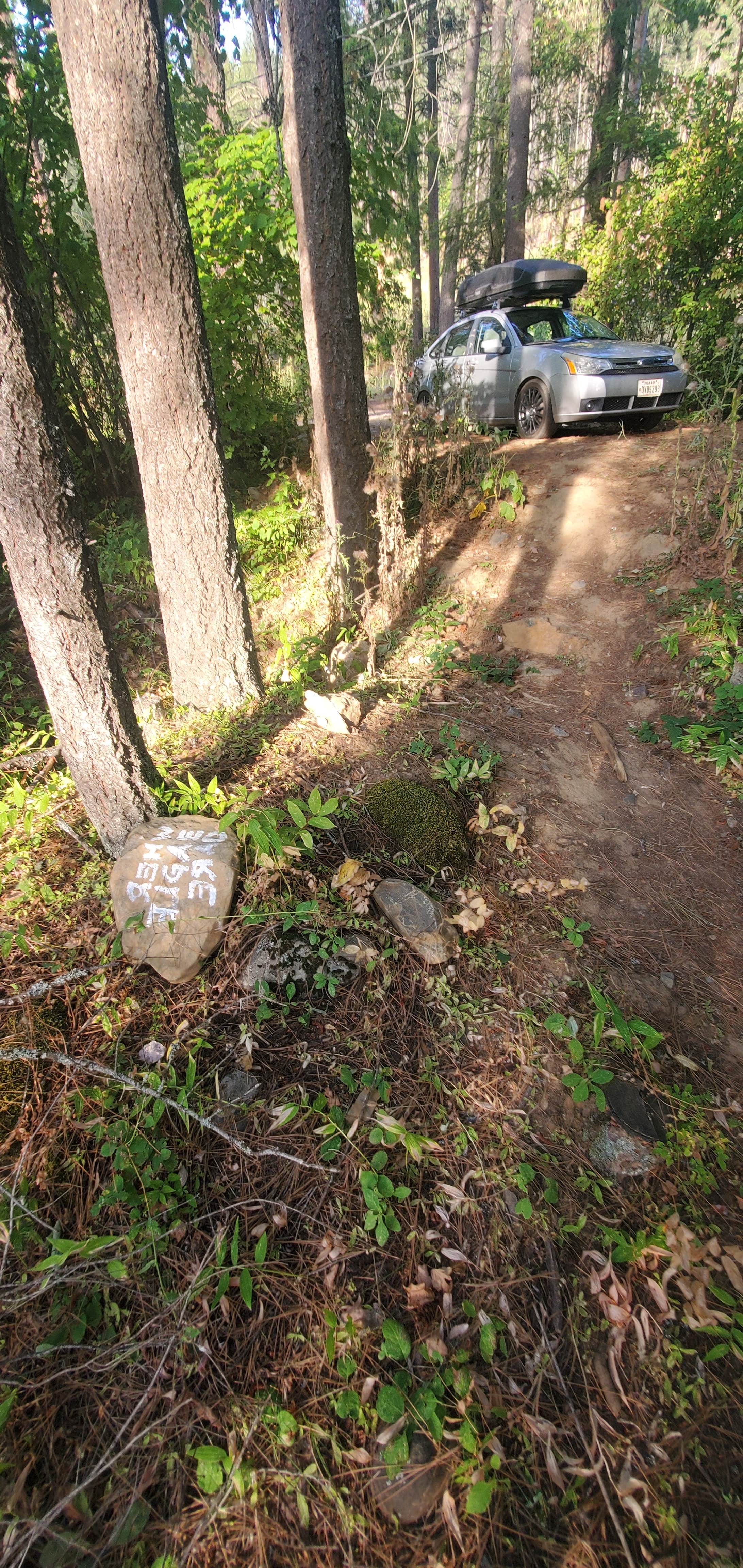 Camper submitted image from South Hayes Gulch on Bottle Bay Road - 2