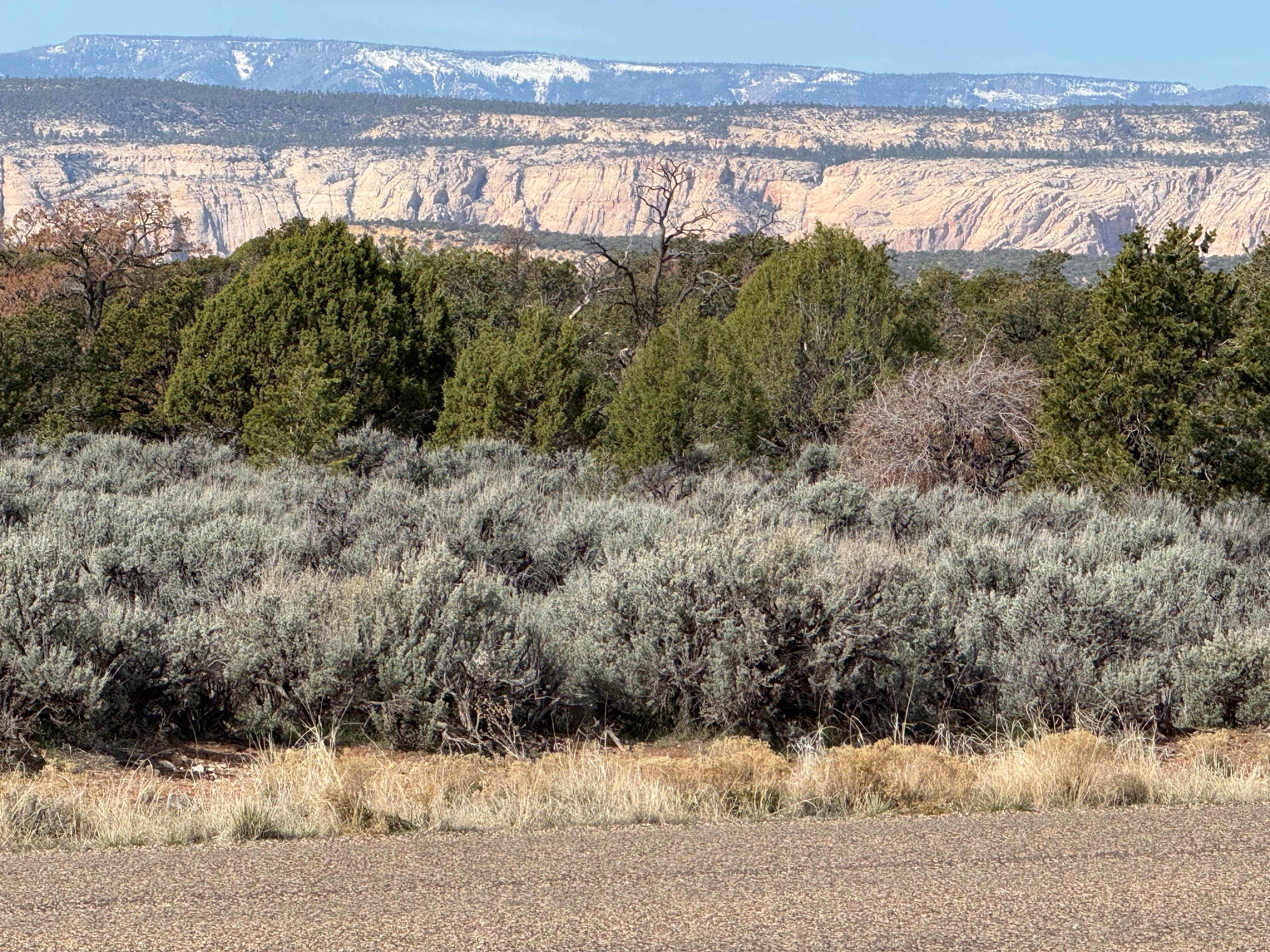 Camping near Dispersed at Hell's Backbone: South Hell's Backbone Road, Boulder, Utah