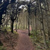 Review photo of Thousand Trails South Jetty by Jo A., March 24, 2025