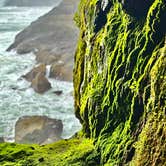 Review photo of Thousand Trails South Jetty by Jo A., March 24, 2025