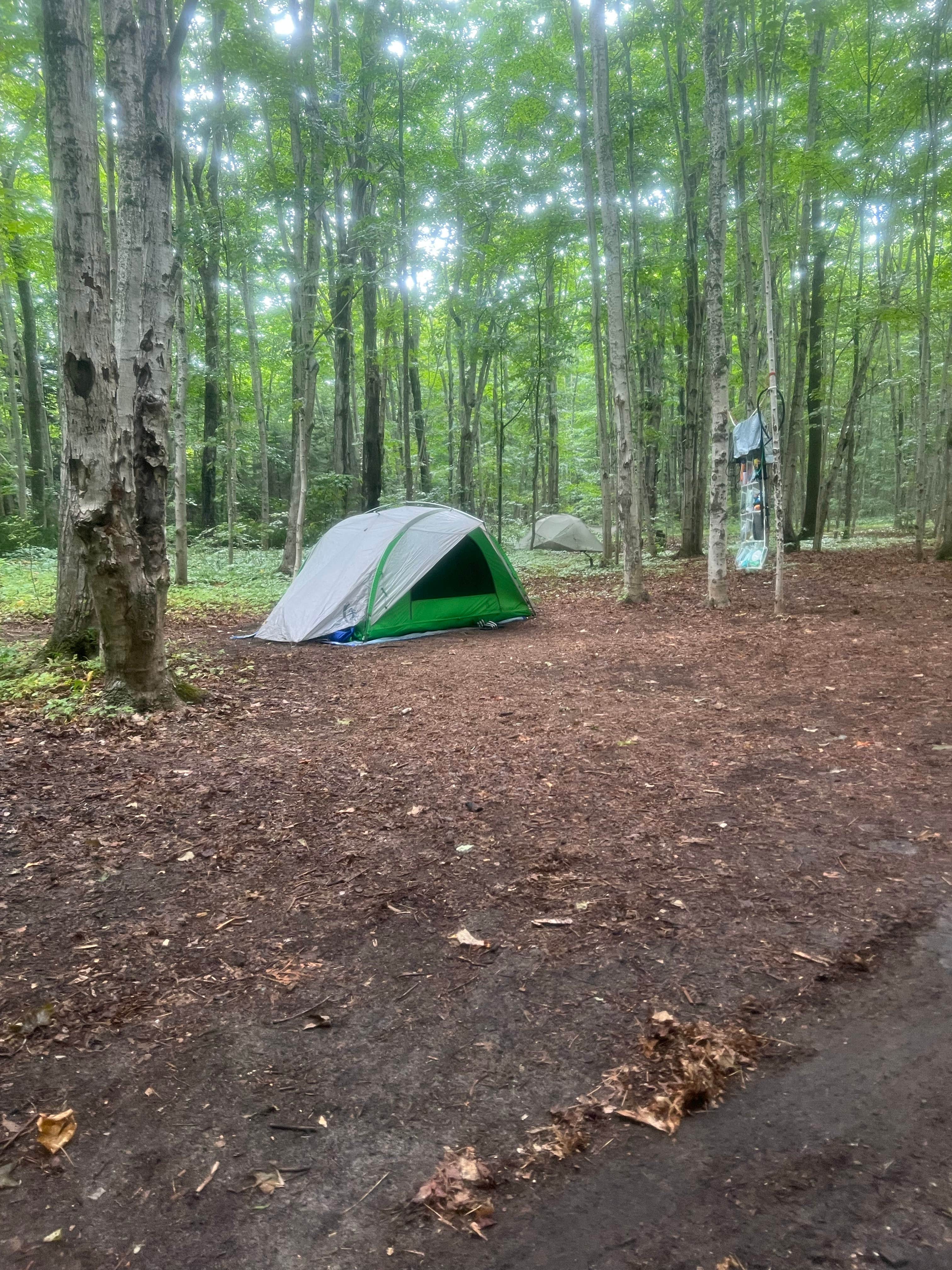 Leah M.'s photo of tent camping at South Manitou Island Group near Honor, MI