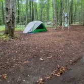 Review photo of South Manitou Island Group by Leah M., January 19, 2024