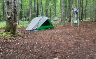 Leah M.'s photo at South Manitou Island Group near Sleeping Bear Dunes