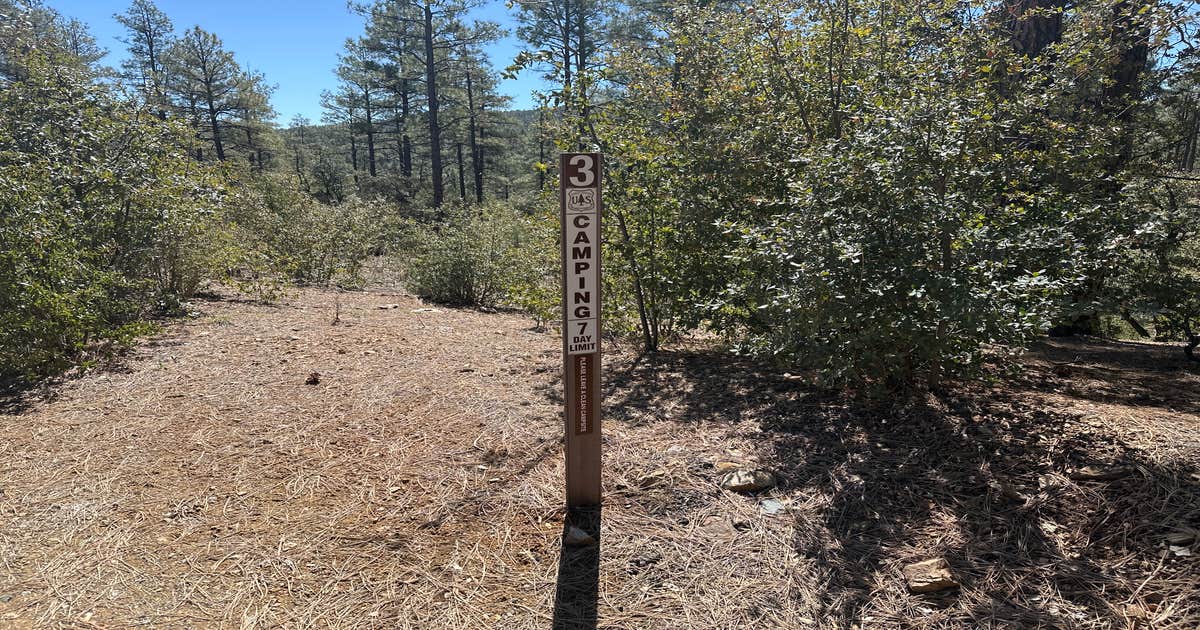 South Mingus Mountain Basecamp on Forest Road 413