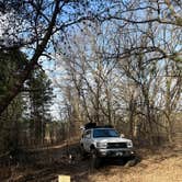 Review photo of South of Sand Dunes State Forest by Greg M., March 31, 2026