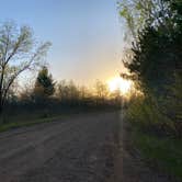 Review photo of South of Sand Dunes State Forest by Nika S., May 16, 2026