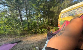 Heather W.'s photo at South of Sand Dunes State Forest near Oak Grove, MN