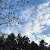 Review photo of South of Sand Dunes State Forest by Jennifer N., May 13, 2026