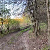 Review photo of South of Sand Dunes State Forest by Nika S., May 16, 2026