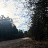 Review photo of South of Sand Dunes State Forest by Greg M., March 31, 2026