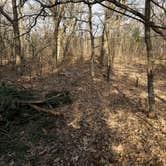 Review photo of South of Sand Dunes State Forest by Greg M., March 31, 2026