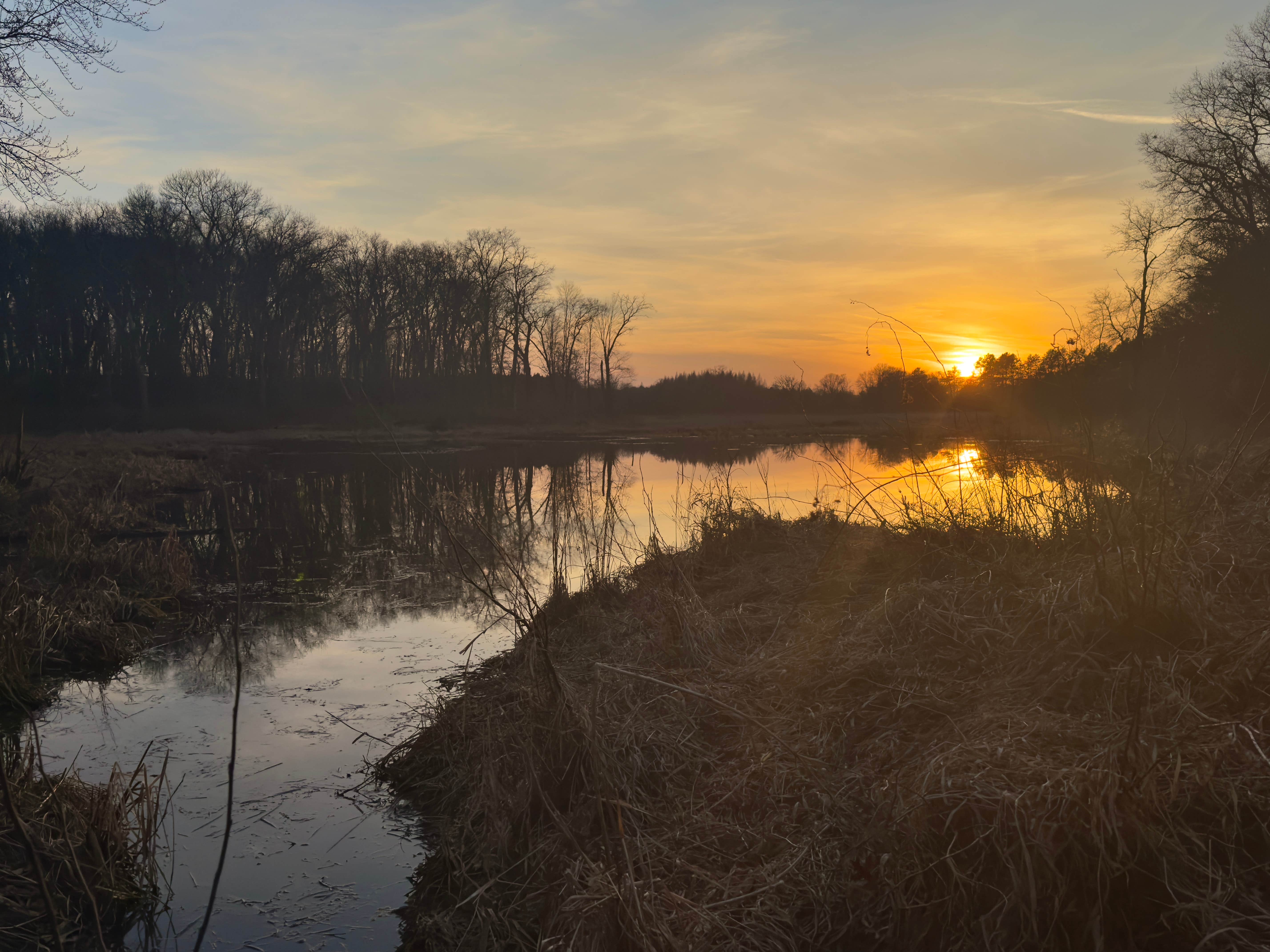 South of Sand Dunes State Forest