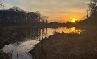 T S.'s photo of a dispersed camping area at South of Sand Dunes State Forest near Landfall, MN