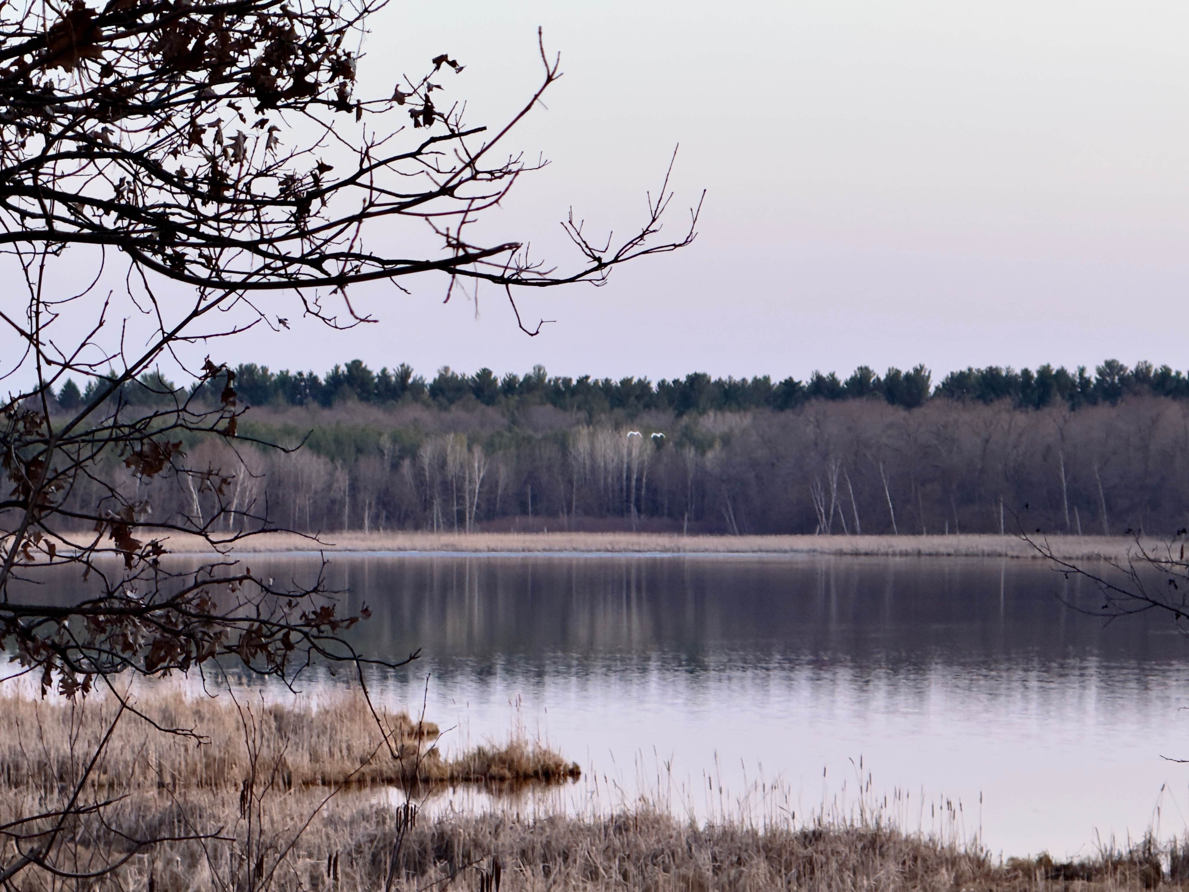 South of Sand Dunes State Forest