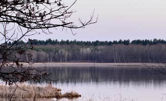 T S.'s photo of a dispersed camping area at South of Sand Dunes State Forest near Champlin, MN