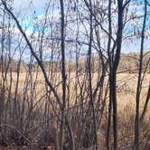 Review photo of South of Sand Dunes State Forest by DIANNE T., March 28, 2026