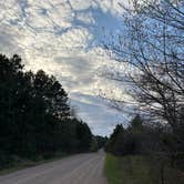 Review photo of South of Sand Dunes State Forest by Jennifer N., May 13, 2026