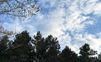 Jennifer N.'s photo of a dispersed camping area at South of Sand Dunes State Forest near Eden Prairie, MN