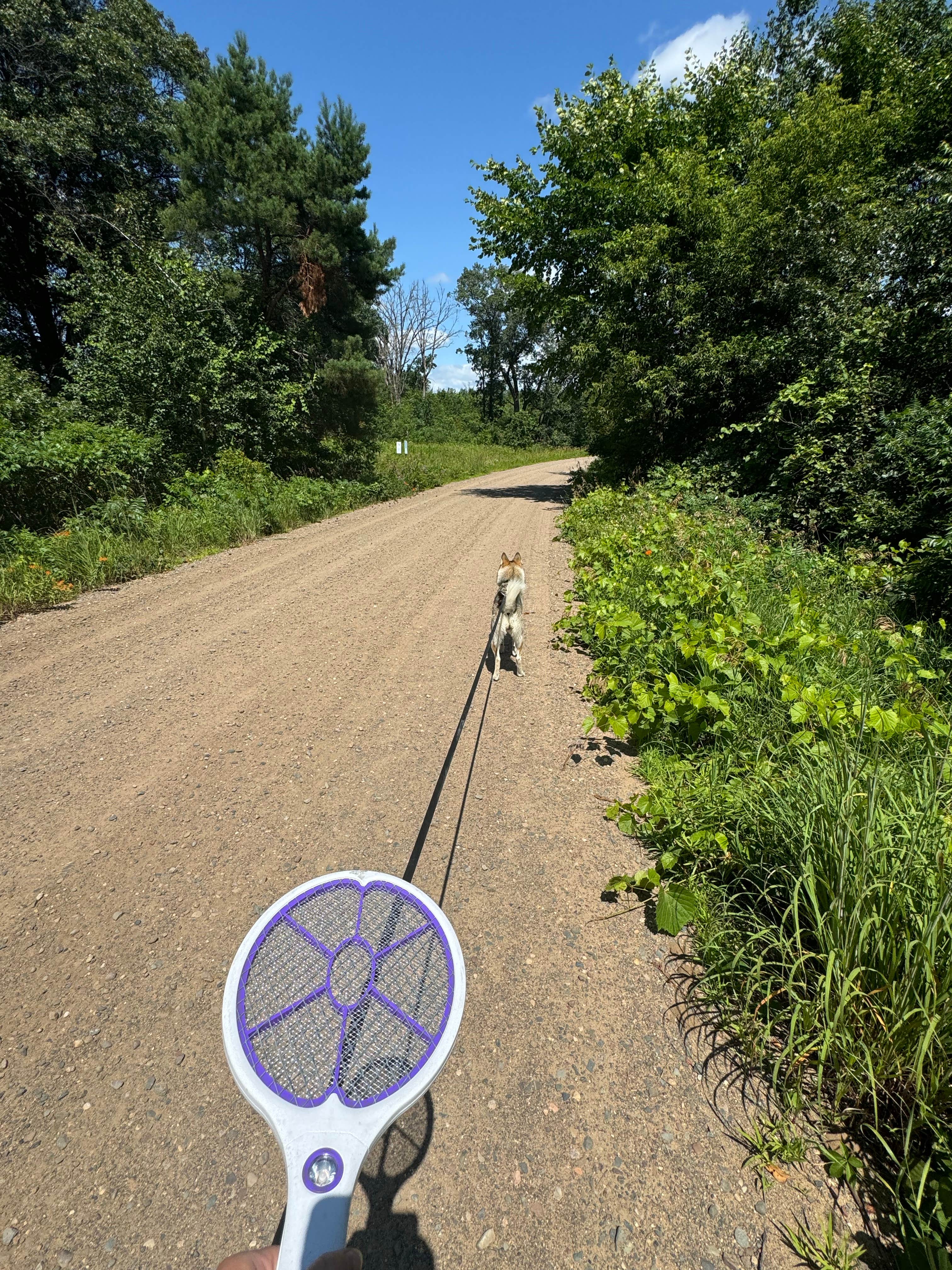 Heather W.'s photo of camping with pets at South of Sand Dunes State Forest near Rockford, MN