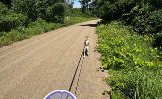Heather W.'s photo of camping with pets at South of Sand Dunes State Forest near Annandale, MN