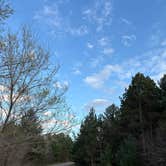 Review photo of South of Sand Dunes State Forest by Jennifer N., May 13, 2026