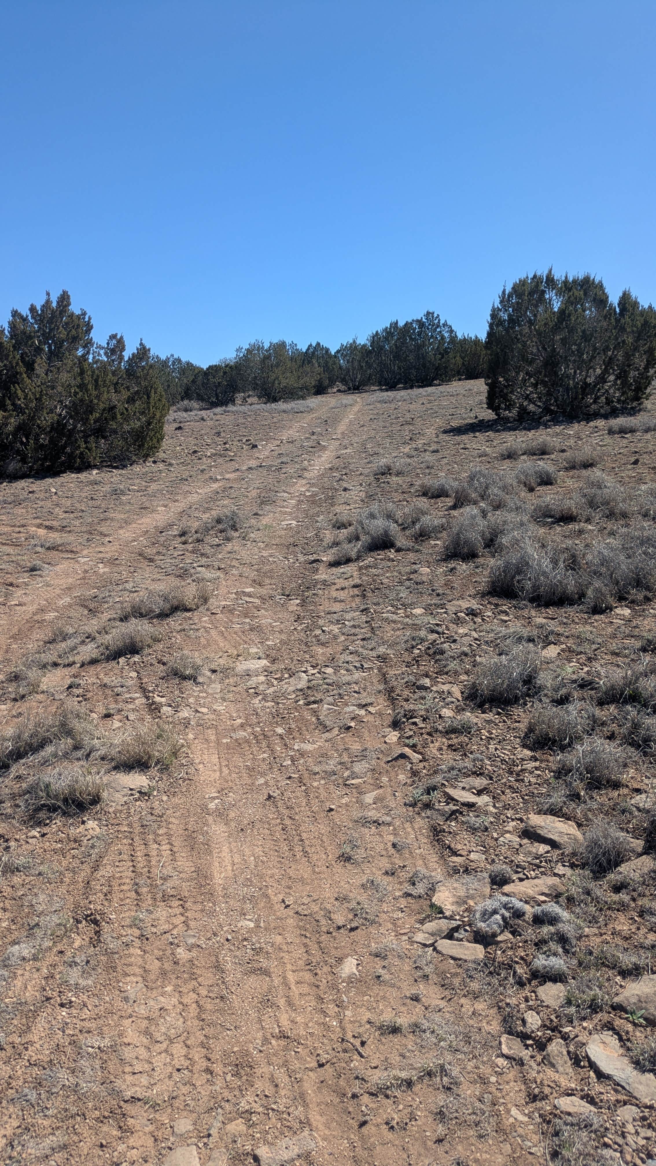 Camper-submitted photo at South of Seligman near Seligman, AZ