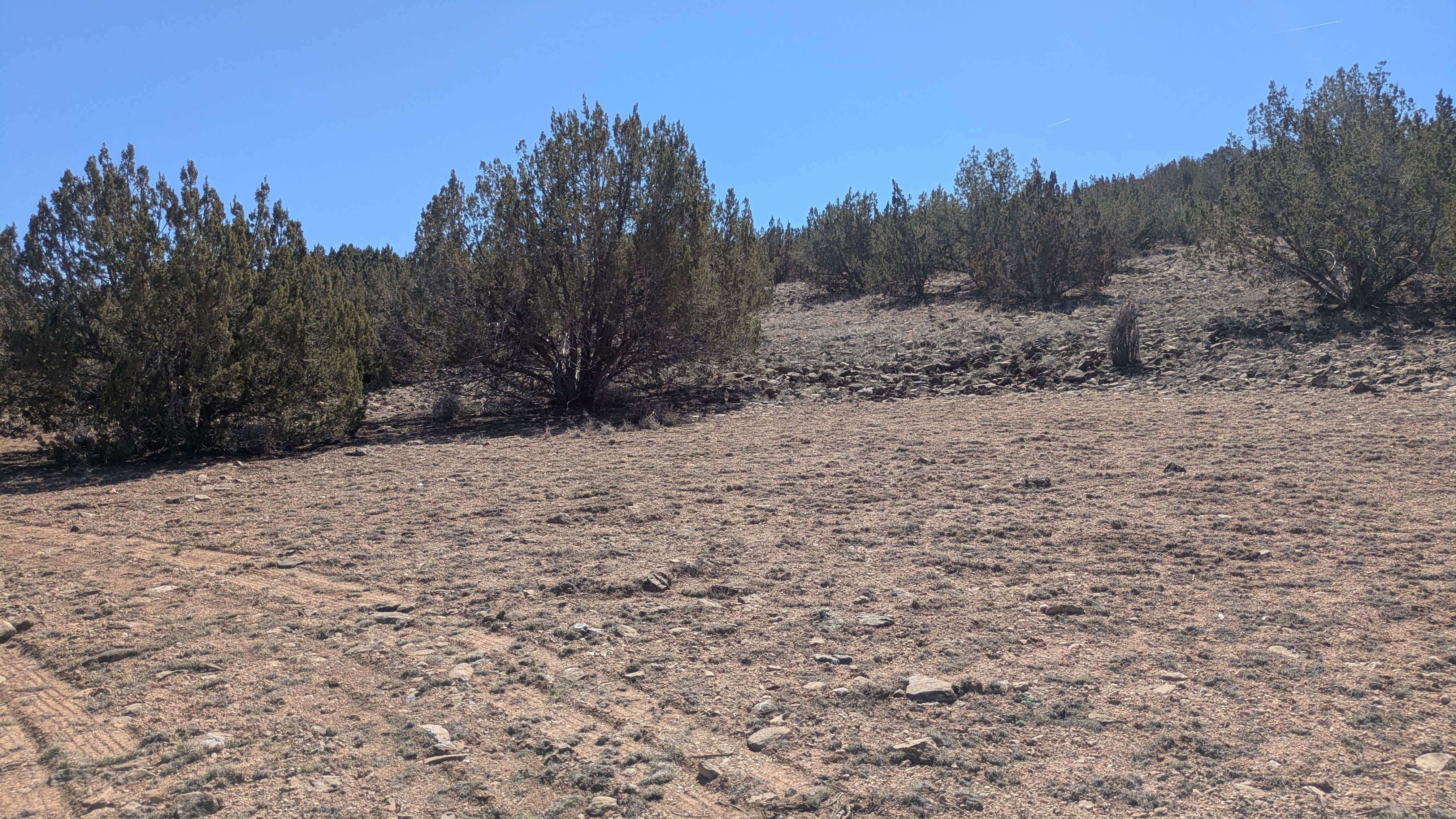 Camper-submitted photo at South of Seligman near Seligman, AZ