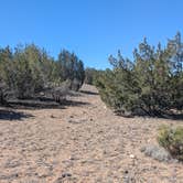 Review photo of South of Seligman by Vidalia S., March 31, 2026