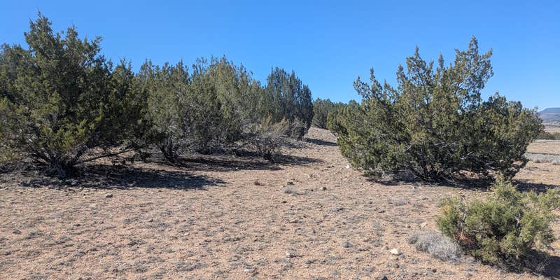 Camper submitted image from South of Seligman