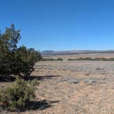 Review photo of South of Seligman by Vidalia S., March 31, 2026