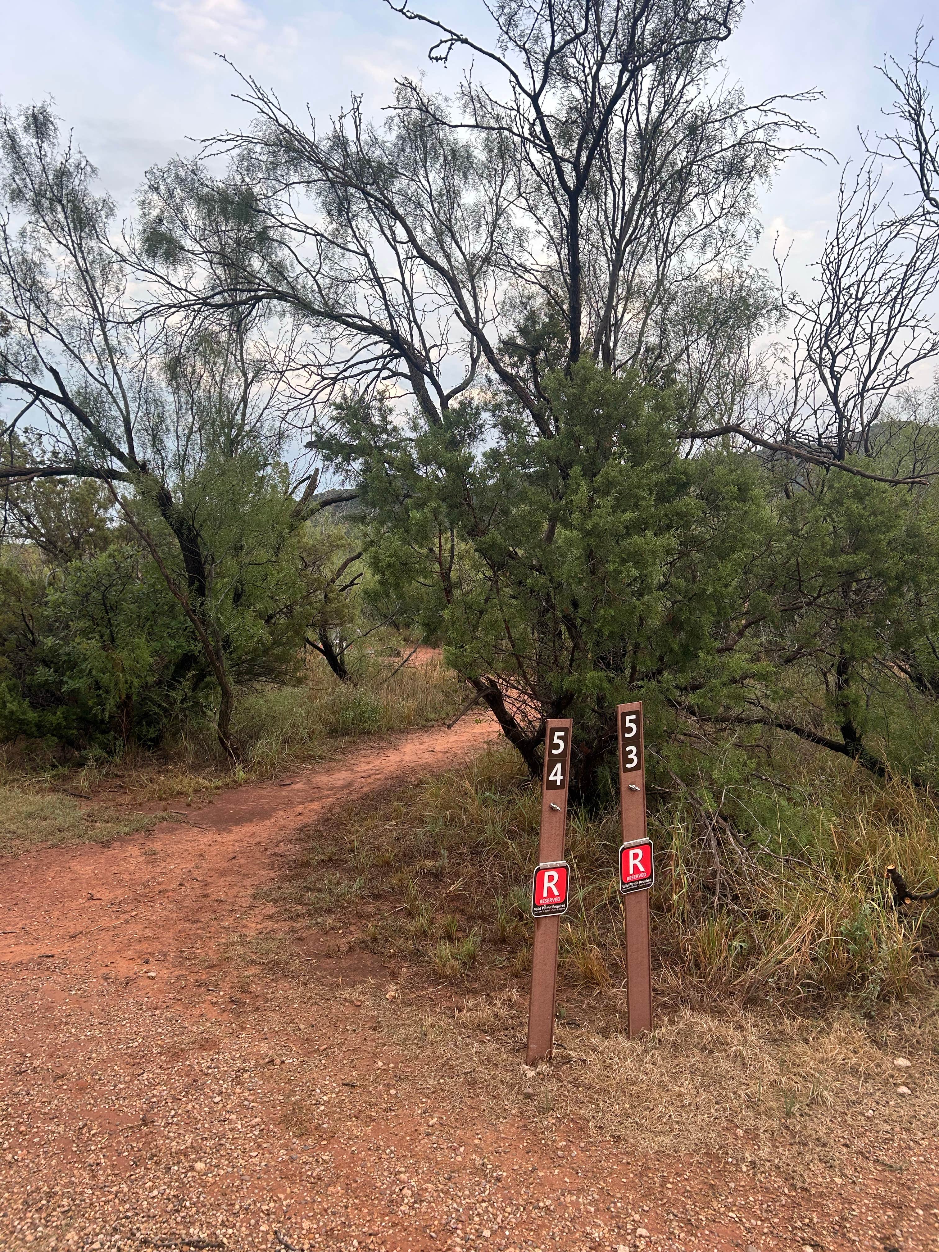 Camper submitted image from South Prong Tent Camping Area — Caprock Canyons State Park - 4
