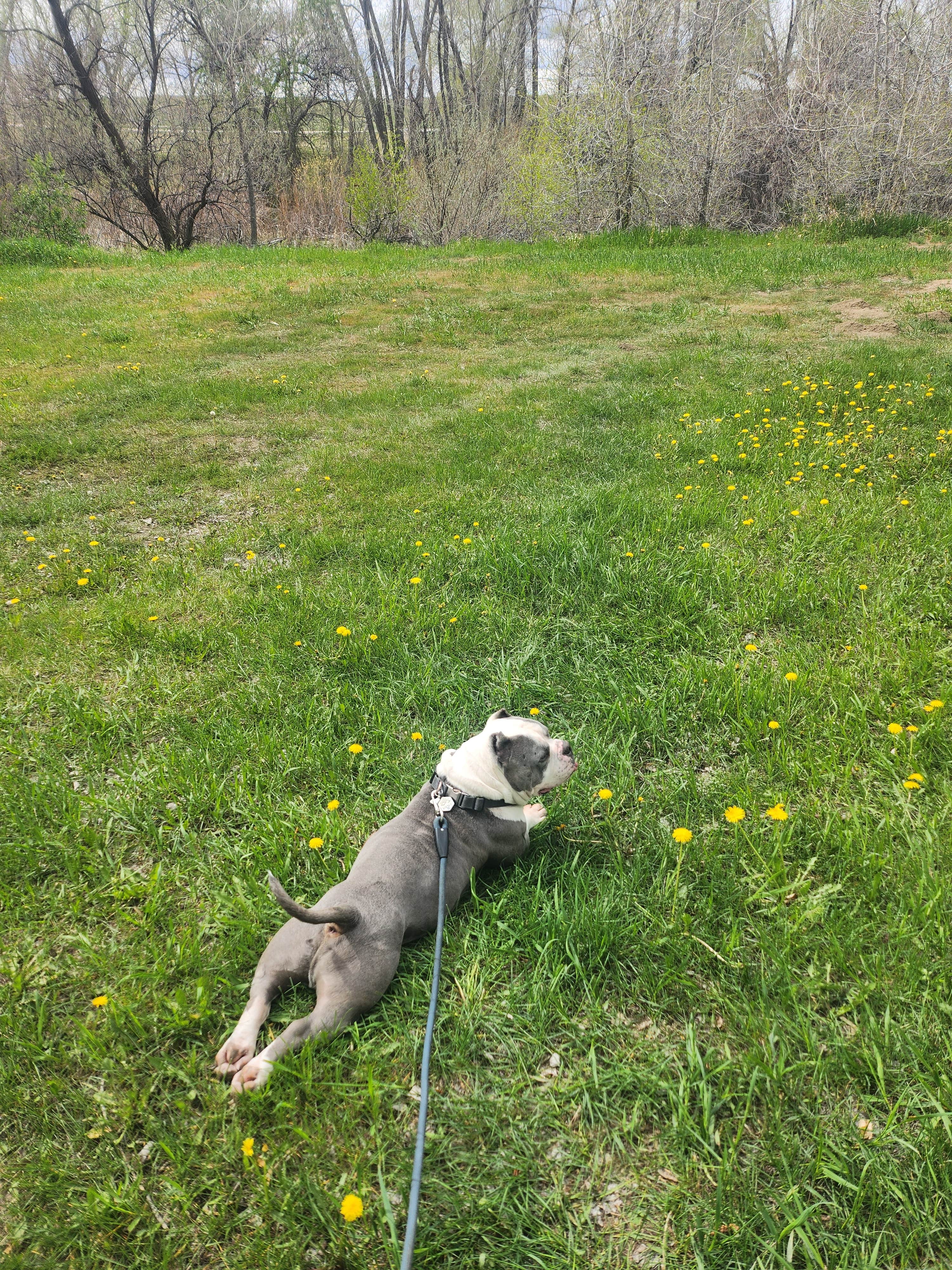 Camper-submitted photo at Glenrock South Recreation Complex near Casper, WY