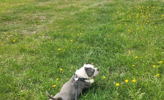 Kelda C.'s photo of camping with pets at Glenrock South Recreation Complex near Evansville, WY