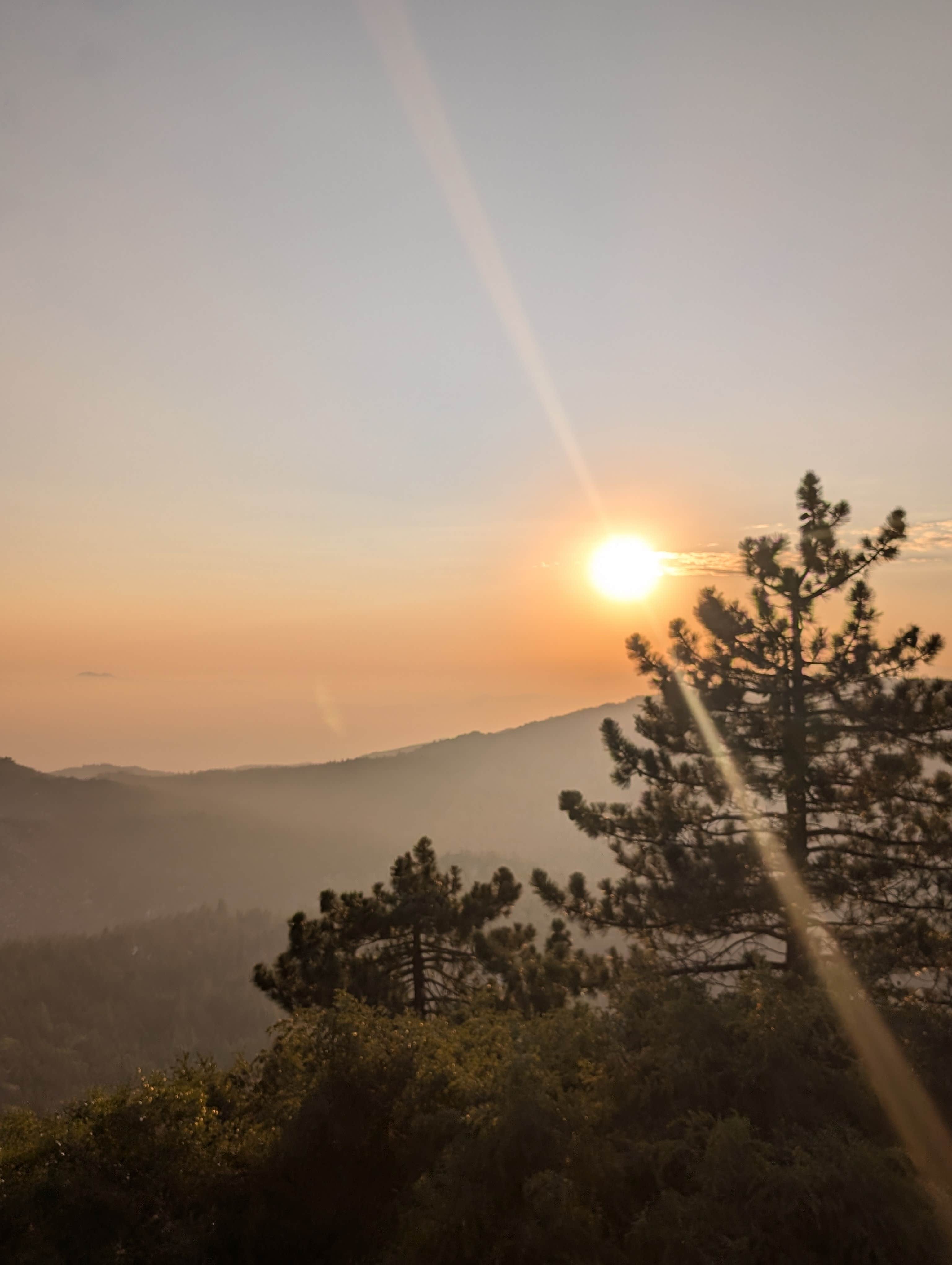 Camper-submitted photo at South Ridge Yellow Post Sites near Fallbrook, CA