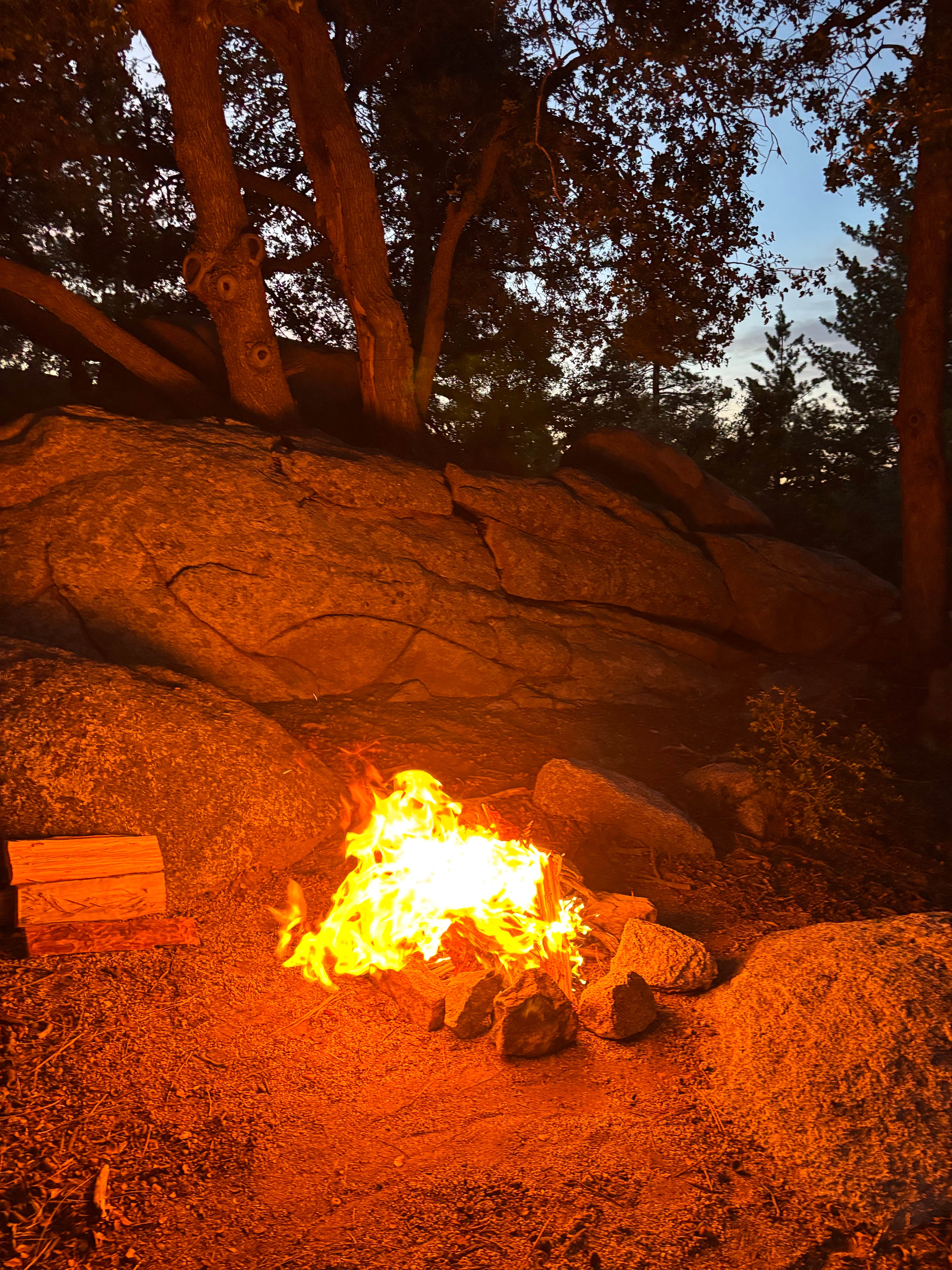 Camping near San Jacinto - Santa Rosa Mountains Recreation Area: South Ridge Yellow Post Sites, Idyllwild, California