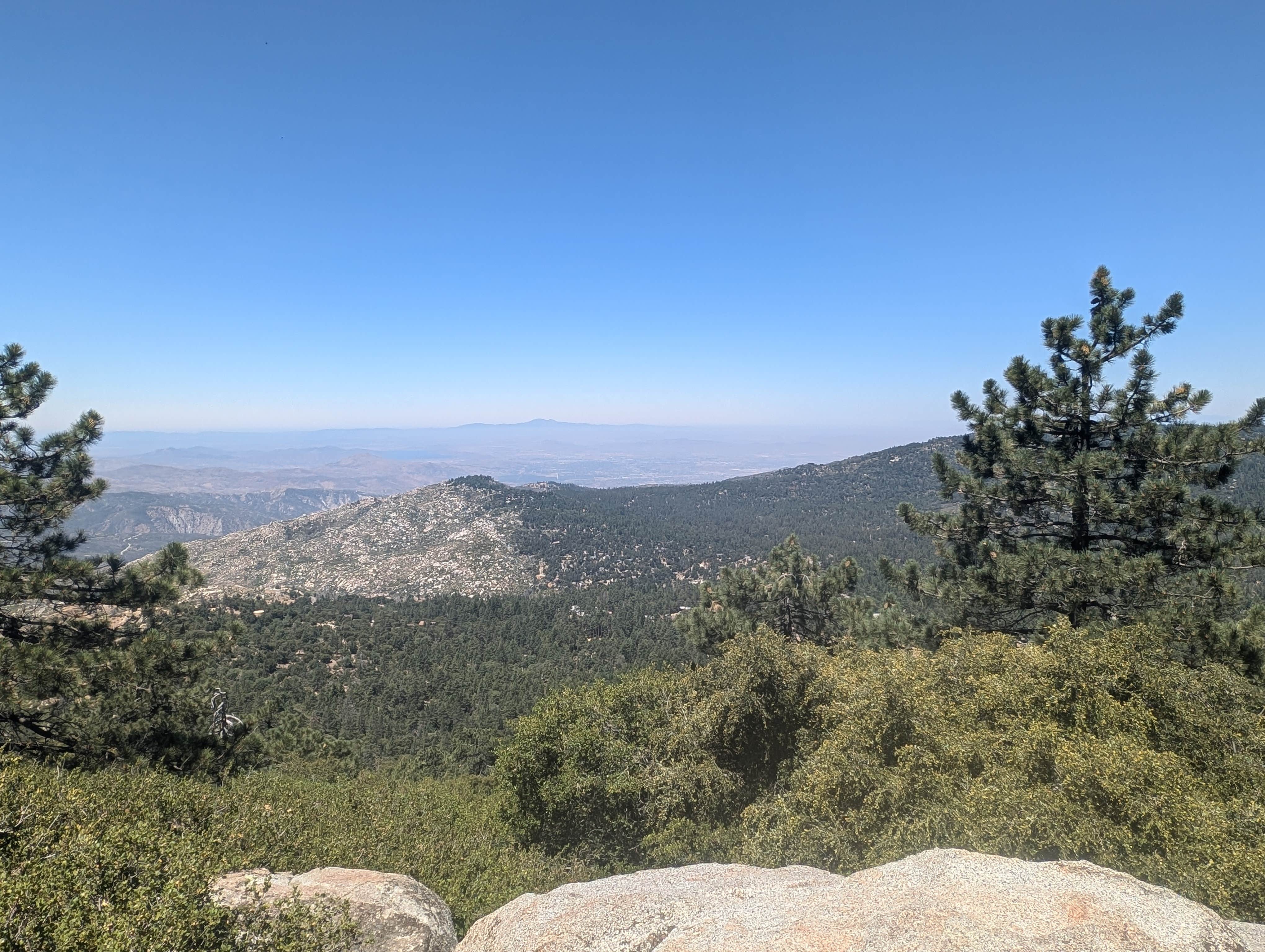 Camper-submitted photo at South Ridge Yellow Post Sites near Fallbrook, CA