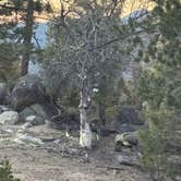 Review photo of South Ridge Yellow Post Sites by Samantha F., March 29, 2026