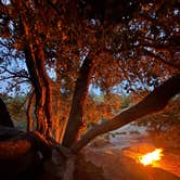 Review photo of South Ridge Yellow Post Sites by Samantha F., March 29, 2026