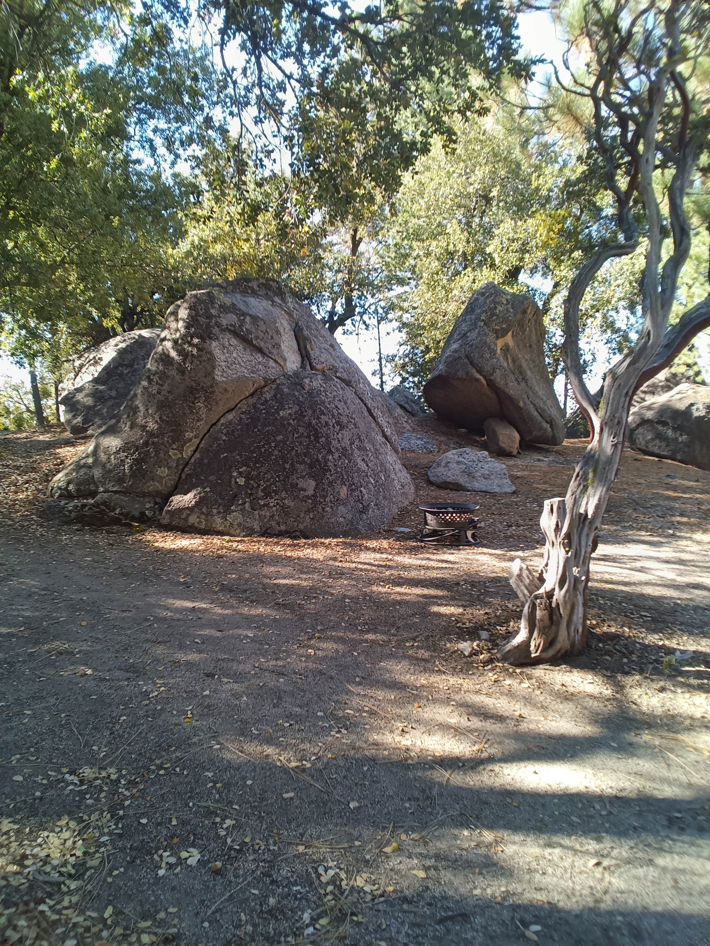 Camper-submitted photo at South Ridge Yellow Post Sites near Fallbrook, CA