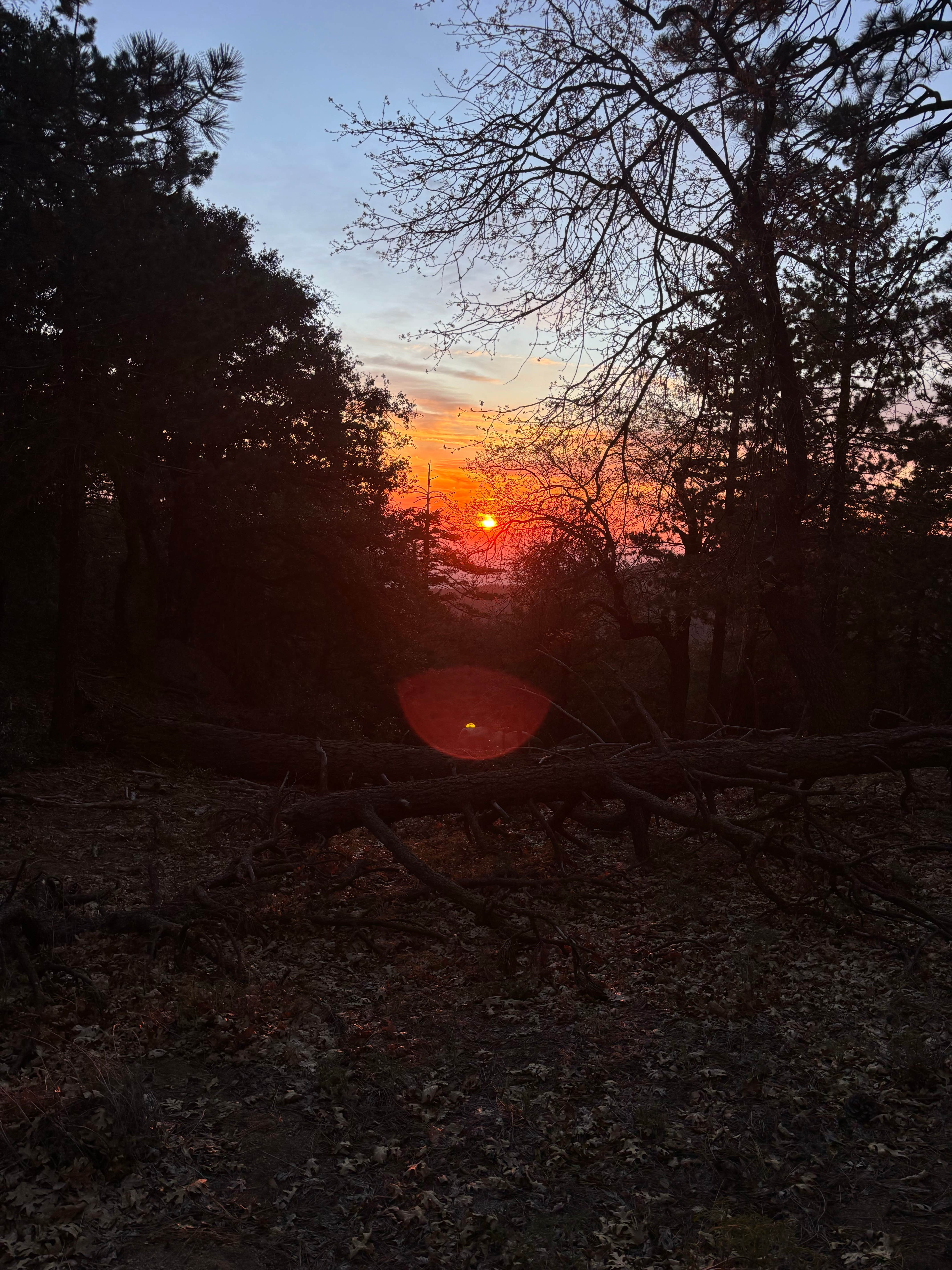 Camper-submitted photo at South Ridge Yellow Post Sites near Mountain Center, CA