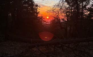 Samantha F.'s photo of a dispersed camping area at South Ridge Yellow Post Sites near Cleveland National Forest