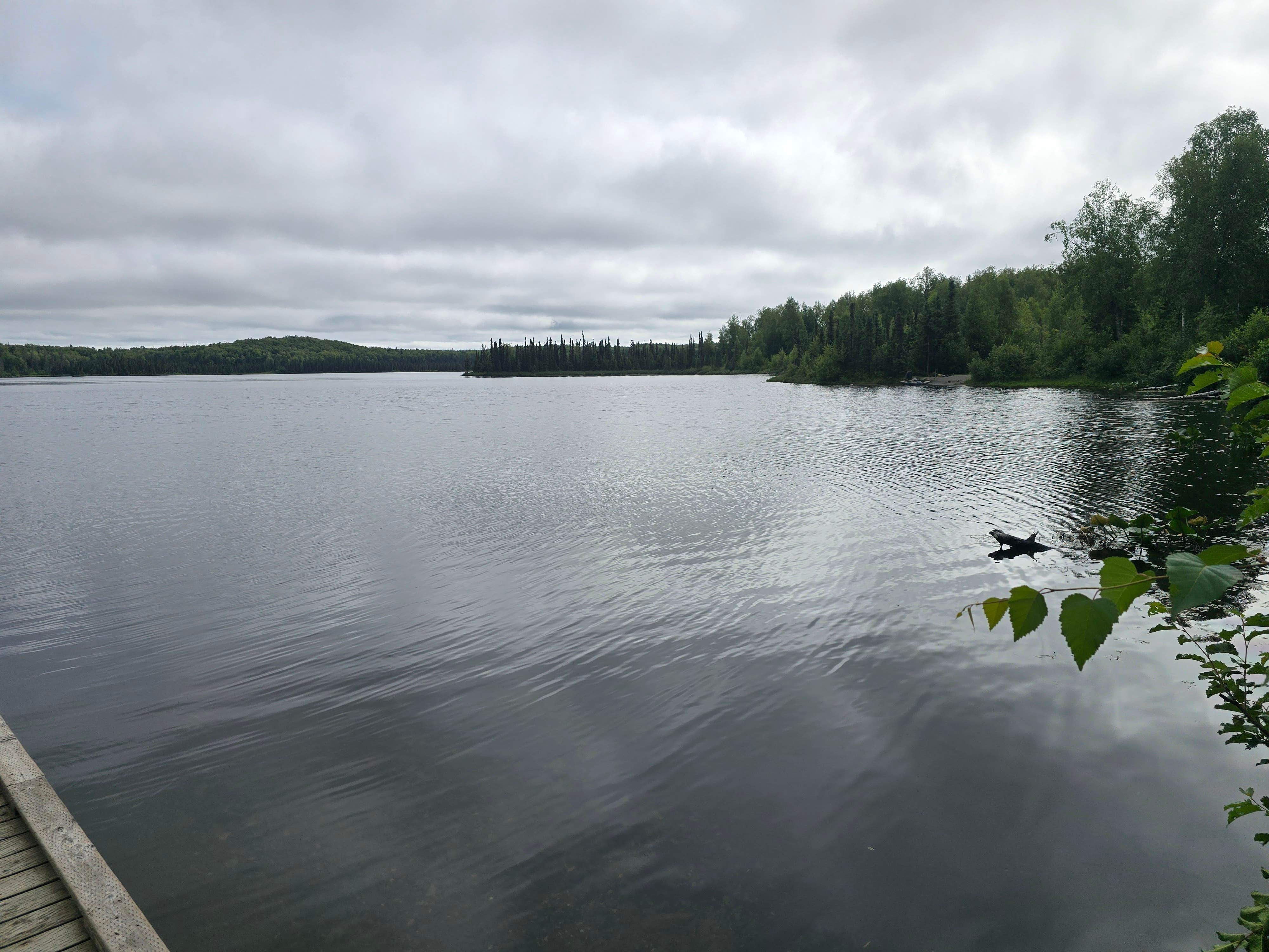 Camper-submitted photo at South Rolly Lake Campground near Talkeetna, AK