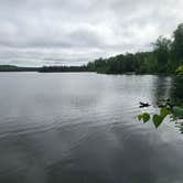 Review photo of South Rolly Lake Campground by Dana O., July 28, 2025