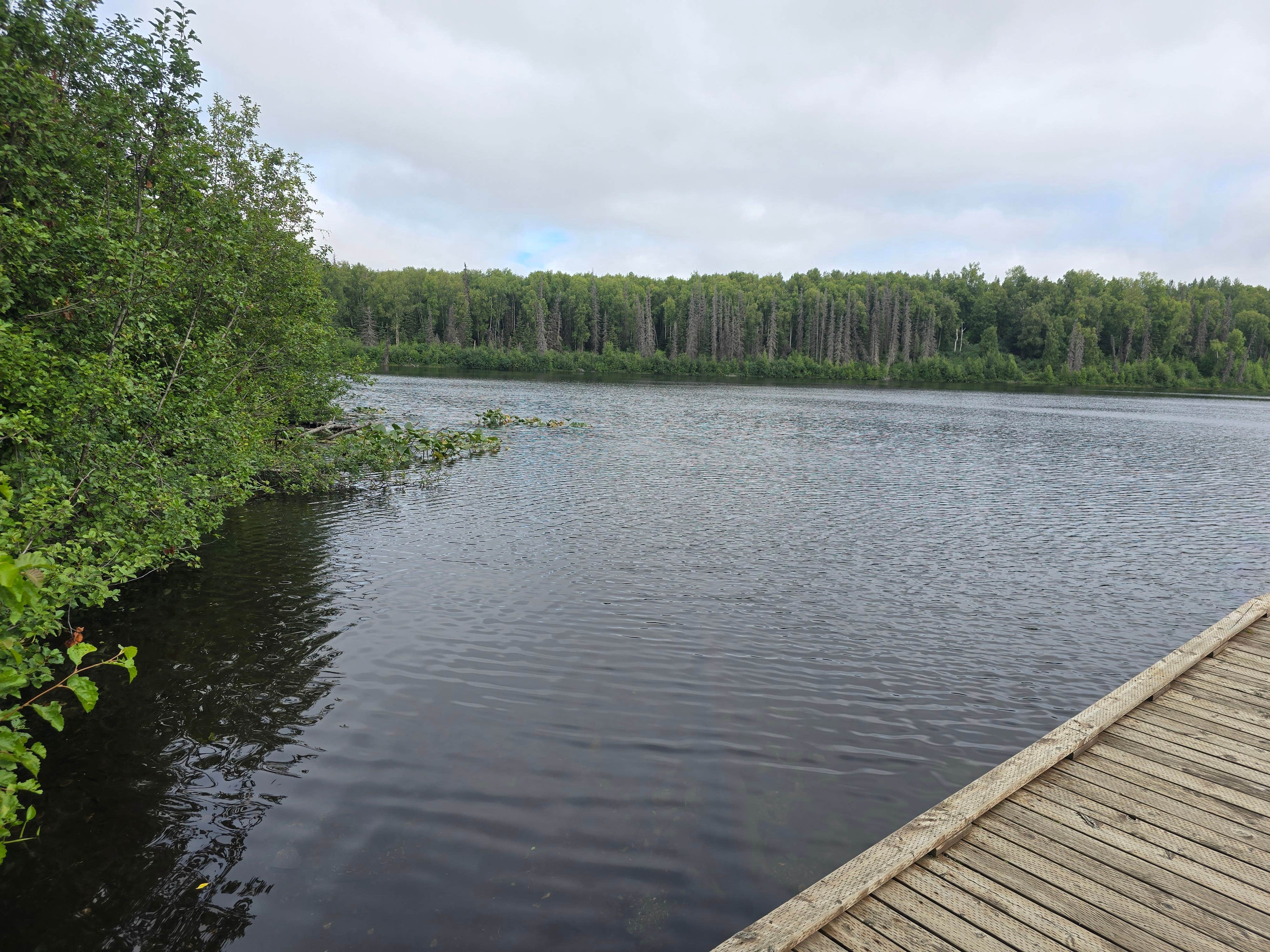 Camping near Pioneer Lodge: South Rolly Lake Campground, Big Lake, Alaska