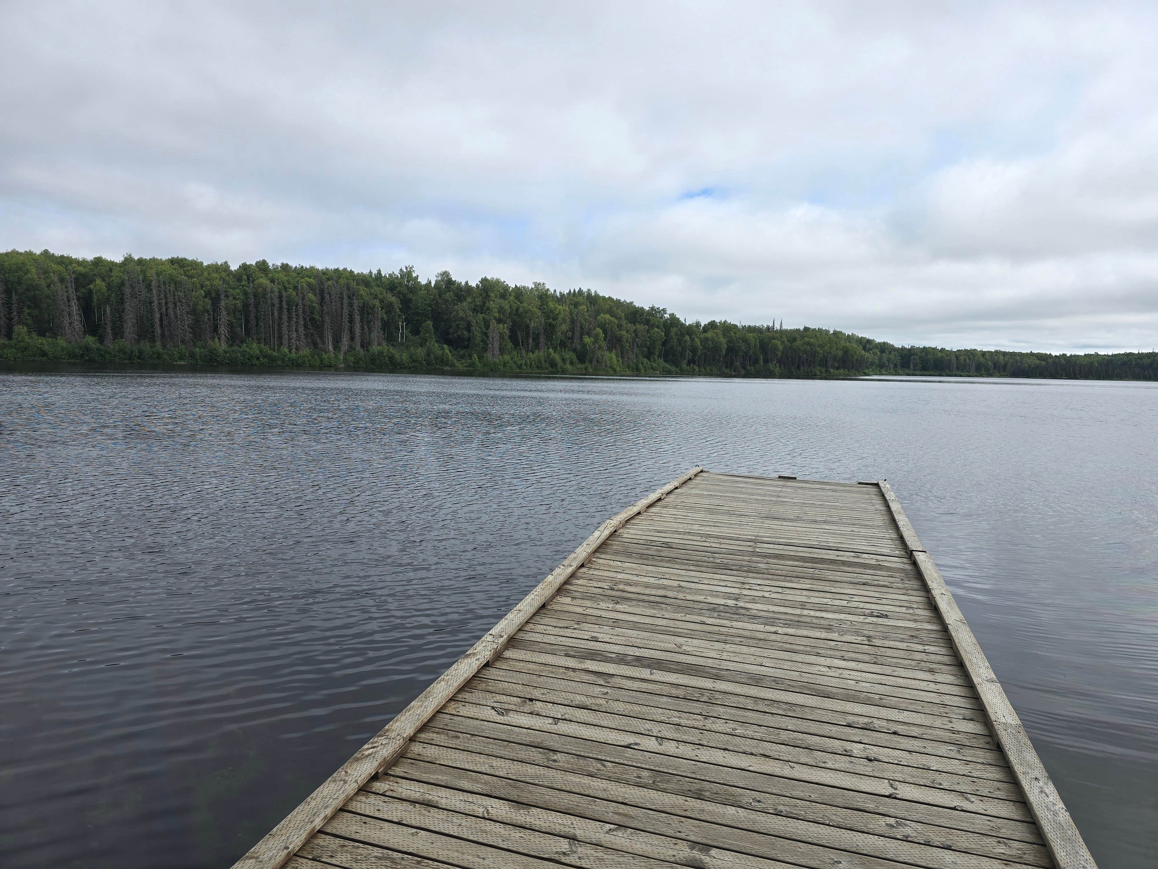 Camper-submitted photo at South Rolly Lake Campground near Talkeetna, AK