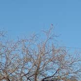 Review photo of South Side RV Park by William J., March 9, 2026