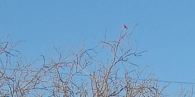 Camper submitted image from South Side RV Park