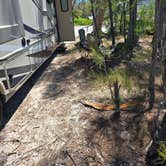 Review photo of South Skyway Rest Stop by Jill K., April 15, 2025