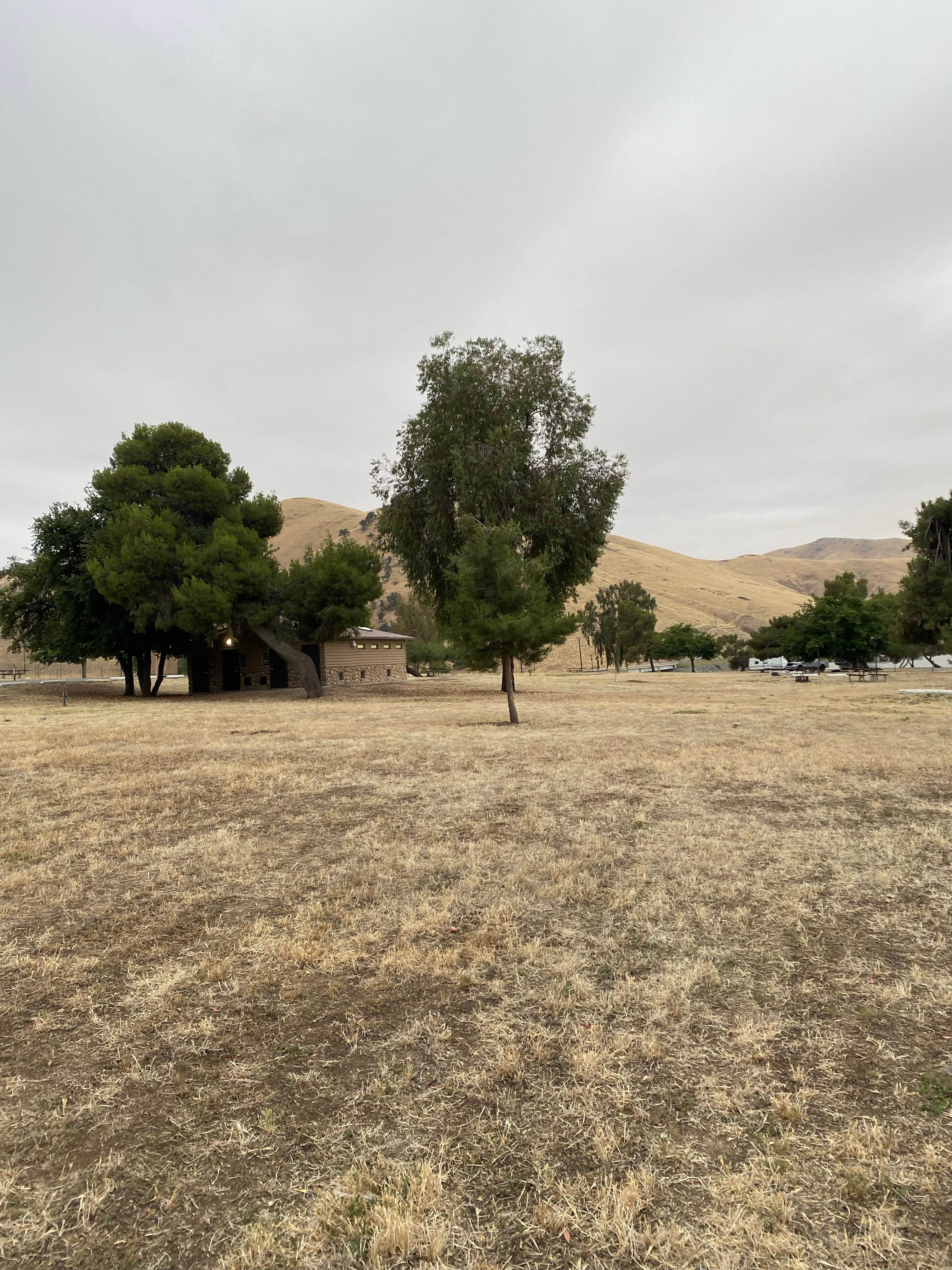 Camper-submitted photo at COE Success Lake Tule Campground near Sunland, CA