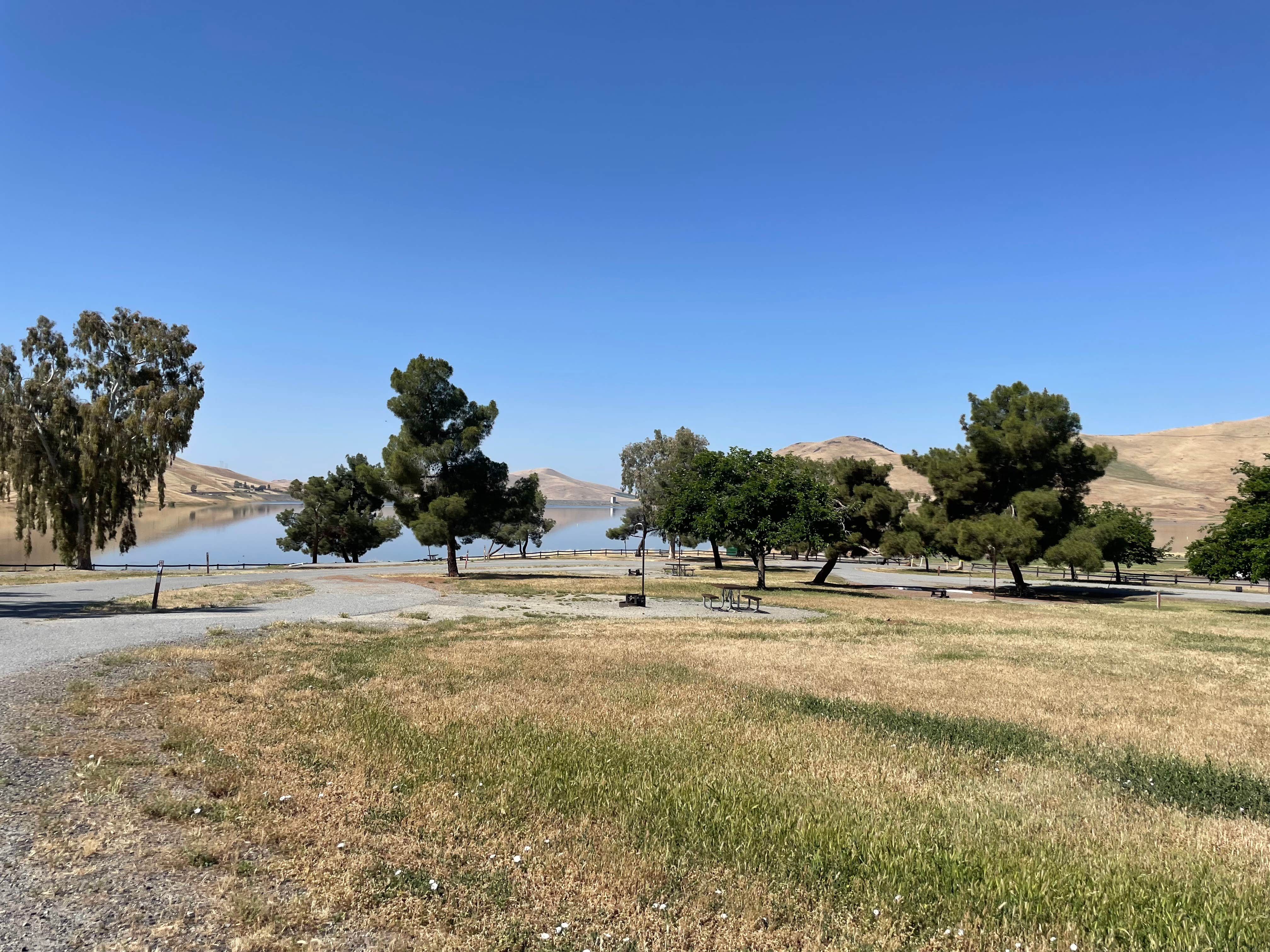 Camper-submitted photo at COE Success Lake Tule Campground near Porterville, CA